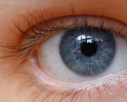 Люди з блакитними очима більш чутливі до болю, ніж всі інші.