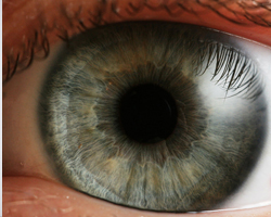 Людське око здатне розрізняти 10 000 000 колірних відтінків.
