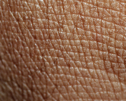 За час життя шкіра людини змінюється приблизно 1000 разів.
Оскільки процес відмирання клітин займає 120 днів, то за рік ви тричі міняєте шкіру.